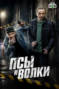 Сергей Жарков, Максим