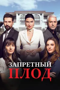 Шеввал Сам, Эда Эдже, Барыш