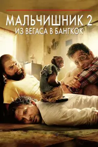 Брэдли Купер, Эд Хелмс, Зак
