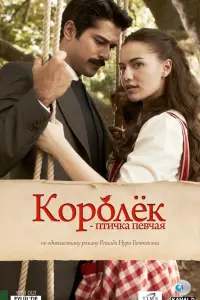 Бенгю Эргин, Эбру